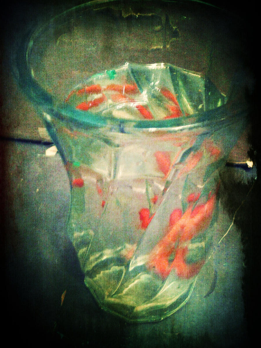 ::Fish Bowl::