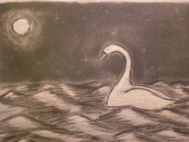 The Swan