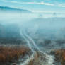 road in the fog