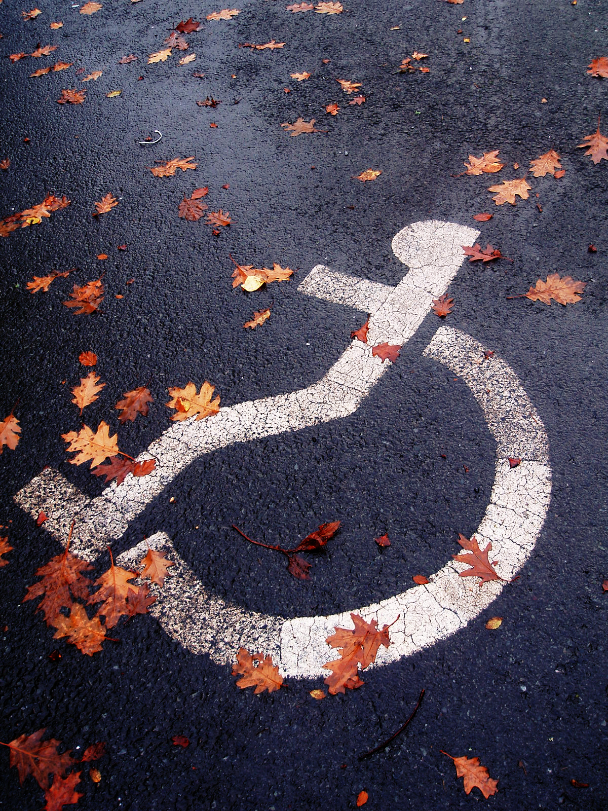 Disabled Autumn