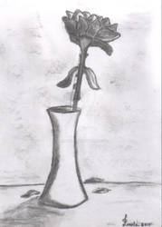 Just a Rose