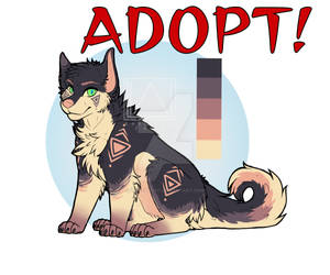 adopt OPEN