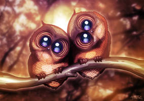 Two Cute Owls