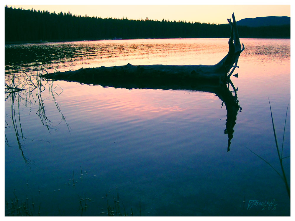 Goldeye Lake, Driftwood Sunset