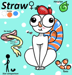 Straw (MYO Chimereon) (Remake)