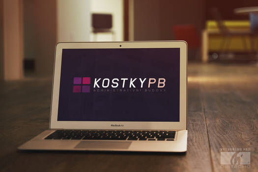 Simple company logo KOSTKY