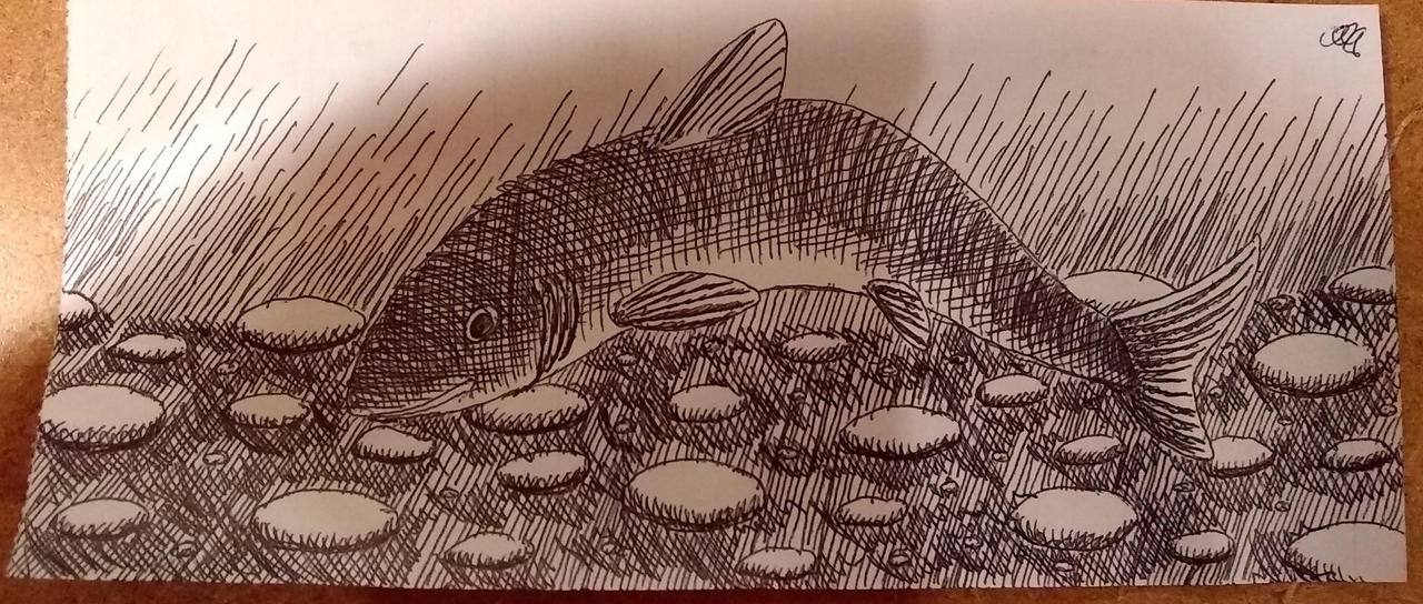 Fish ink 1 by Alldoo on DeviantArt