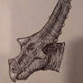 Chasmosaurus Portrait