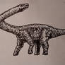 Barosaurus