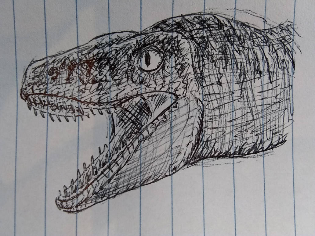 Raptor Portrait 2 by Alldoo on DeviantArt