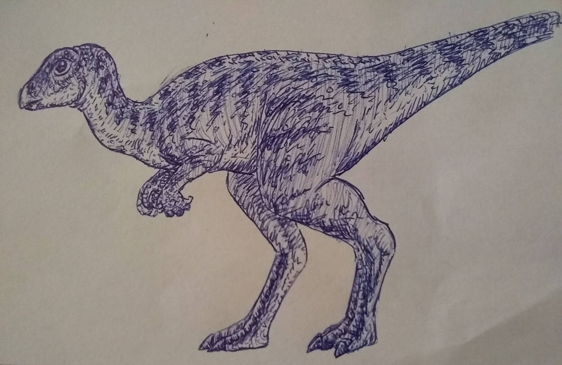 Dryosaurus By Alldoo On DeviantArt