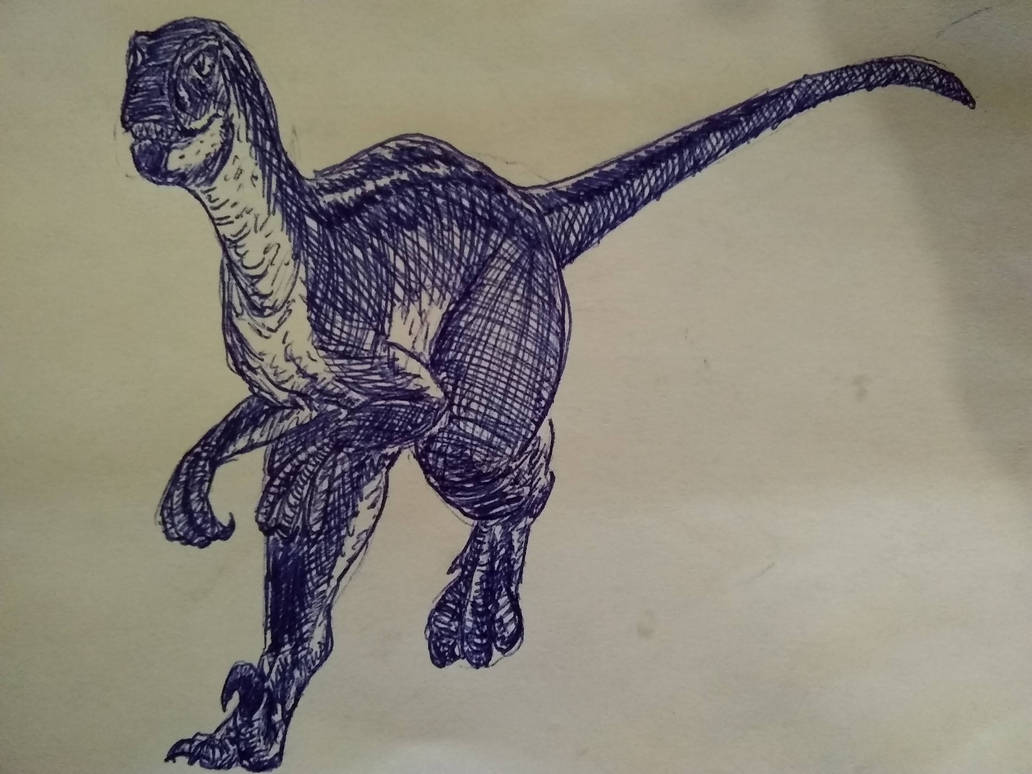 Raptor 23 by Alldoo on DeviantArt