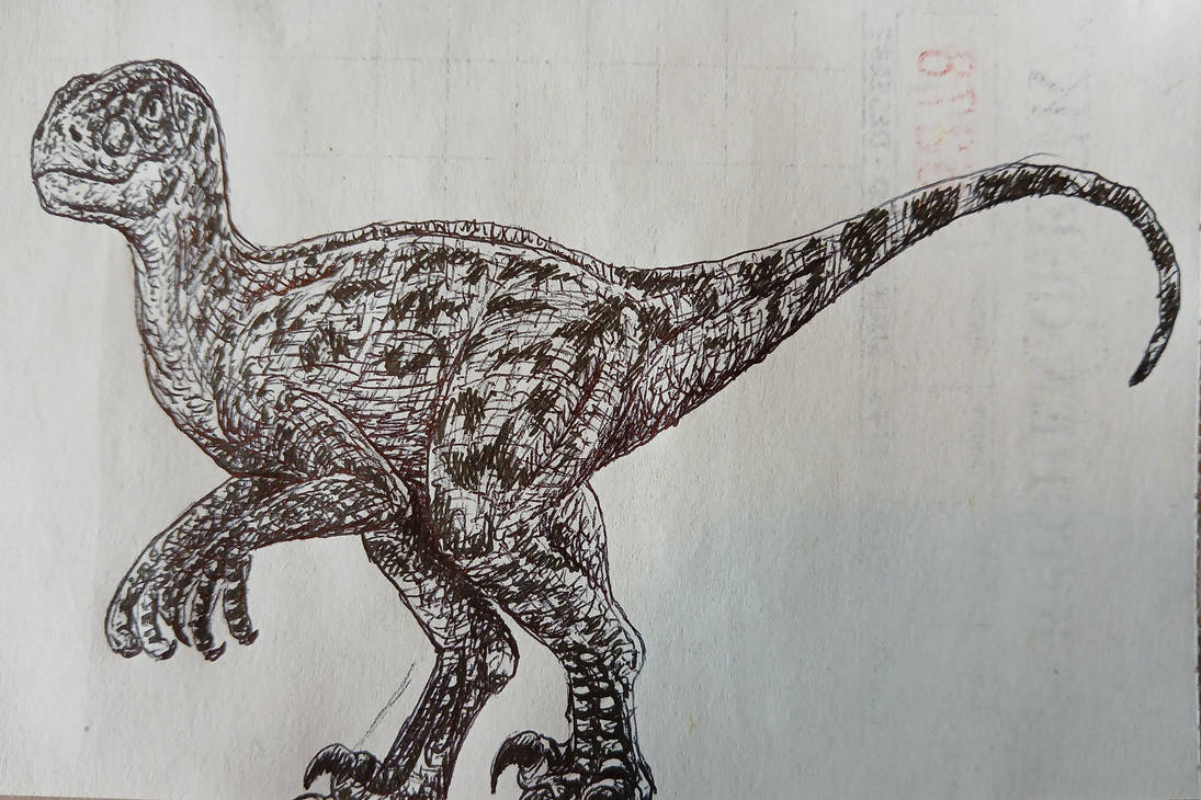 Raptor 25 by Alldoo on DeviantArt