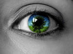 eye 22 by eggsmakemesmile