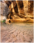 Sandy Reflection by michael-dalberti