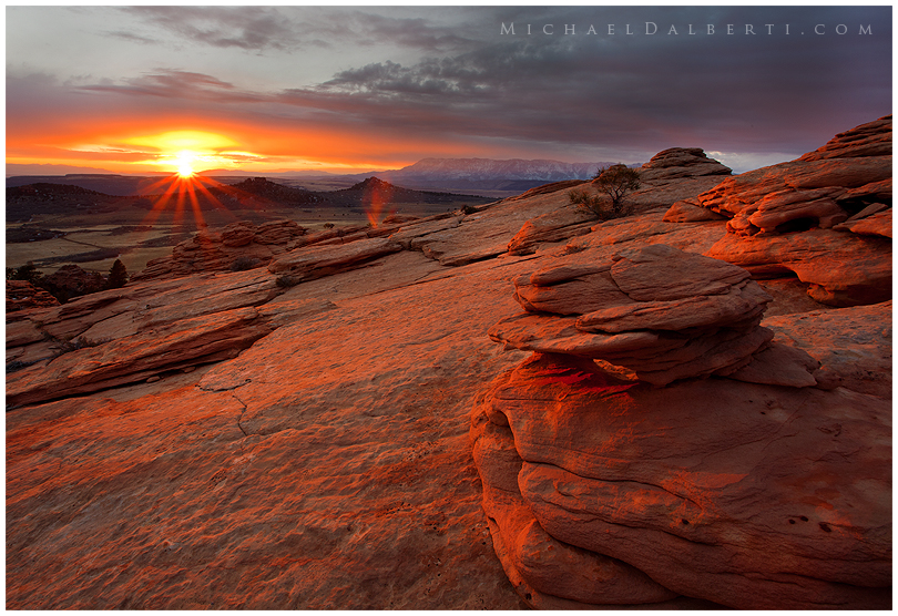 Zion Light