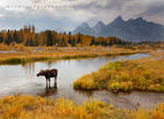 Schwabacher's by michael-dalberti