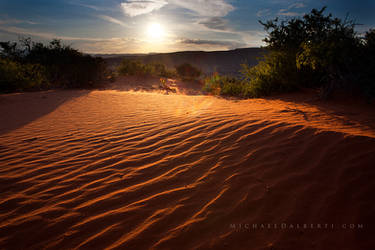 Desert Silence