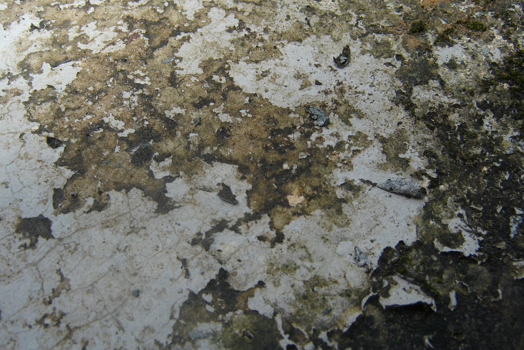 Rust Paint Texture 1 by Alienesse-Stock on DeviantArt