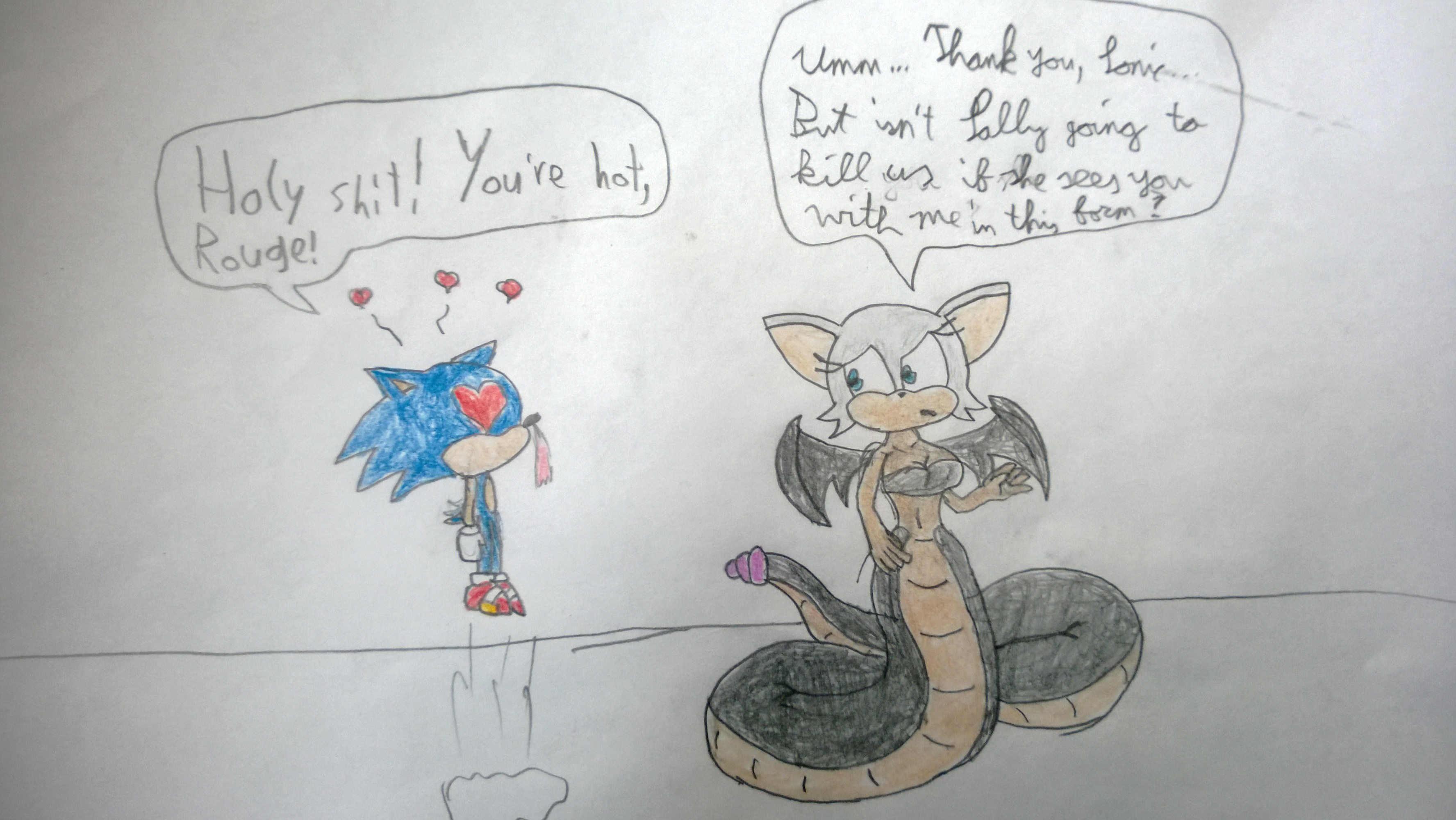 Sonic and Rouge the Rattlebat