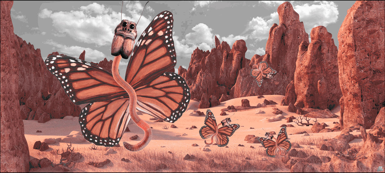 Deviantart Compostfly Worm by CubeOfDestiny on DeviantArt