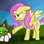 Fluttershy Sets Things Right