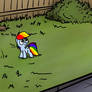 My Little Dashie 10 - The Backyard