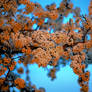 April evening