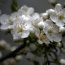 Springtime