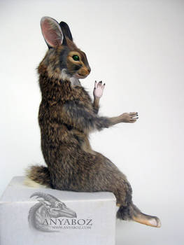 Cottontail Rabbit Room Guardian