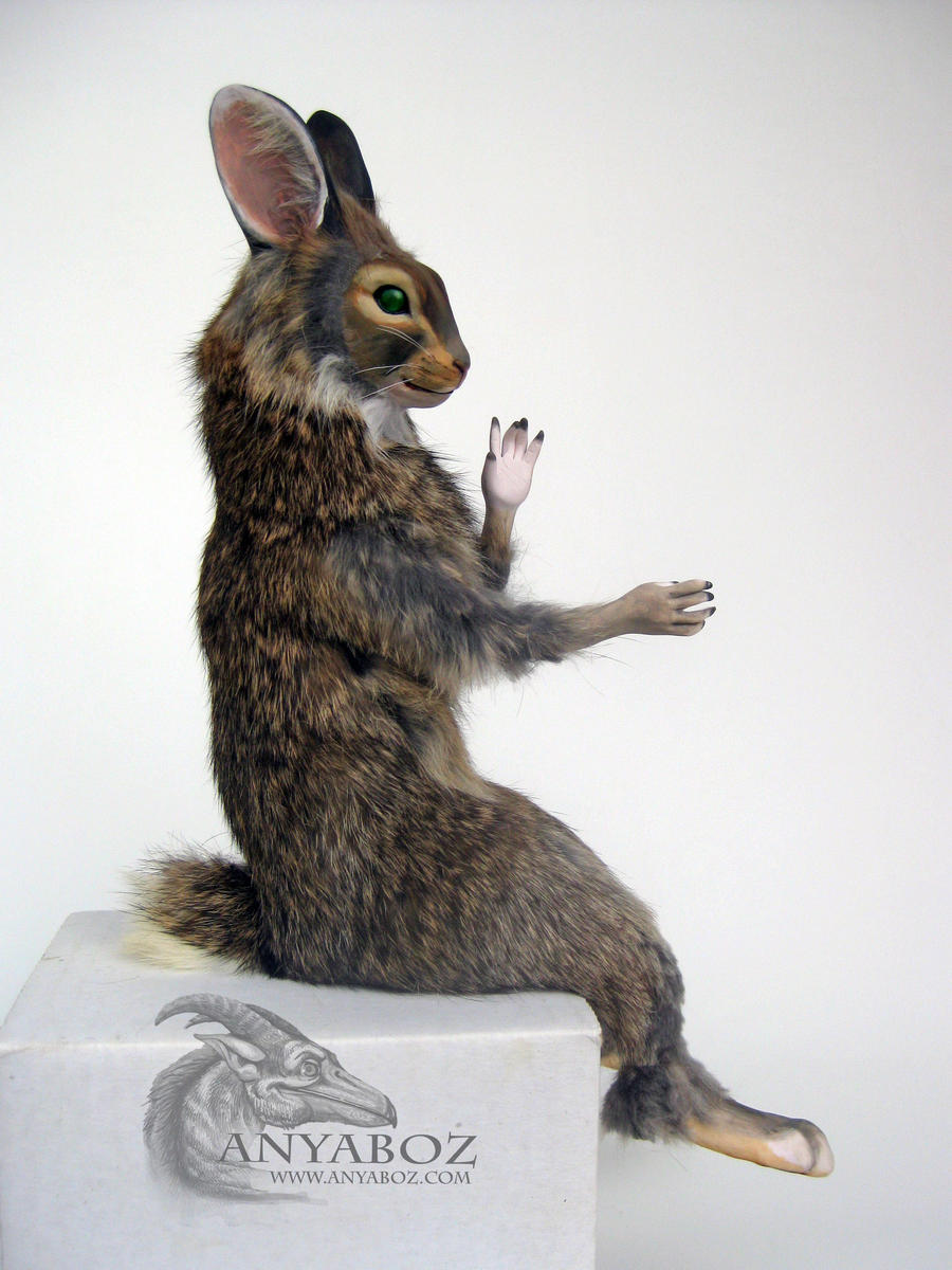 Cottontail Rabbit Room Guardian by AnyaBoz