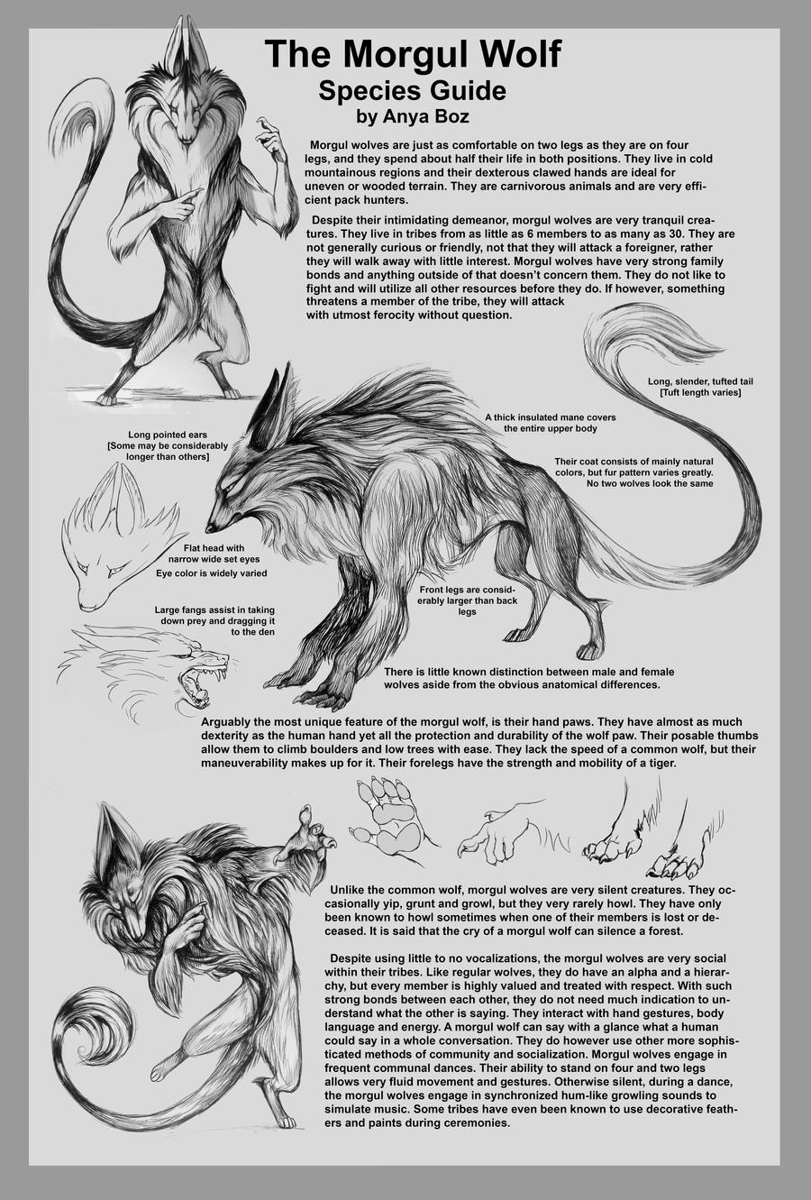 Morgul Wolf Species Guide