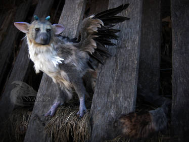 Trico the Last (Room) Guardian