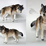 Brother Wolf Room Guardian