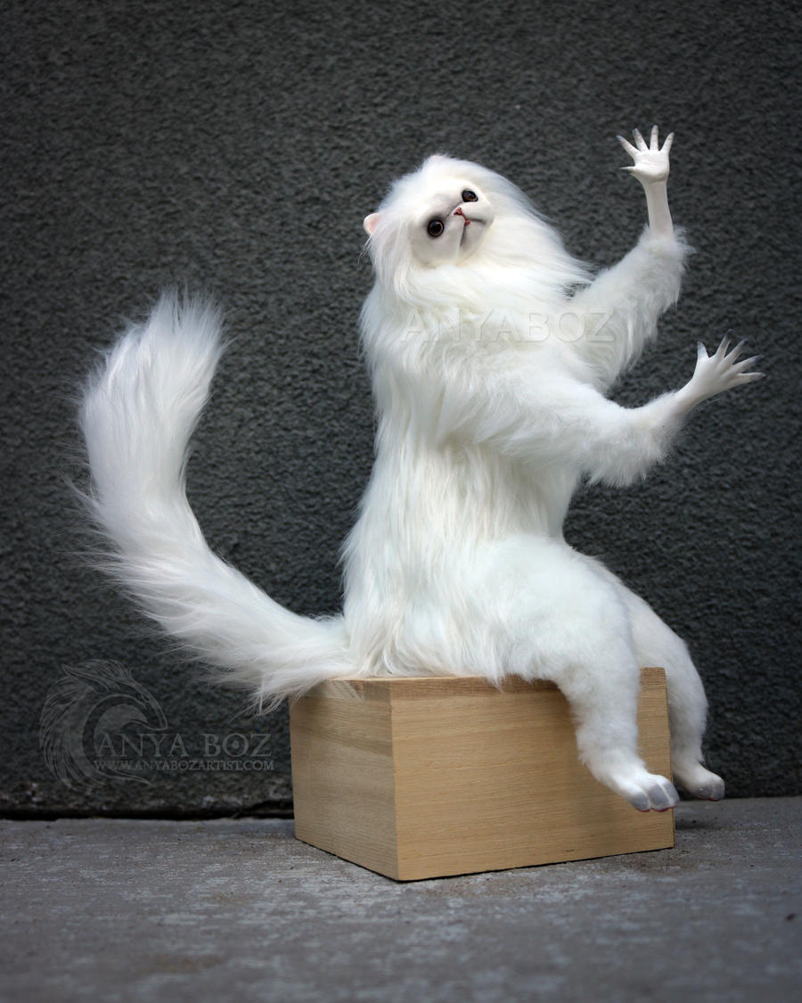 Persian Cat Replica Auction By Anyaboz On Deviantart Persian Cat Replica Auction By Anyaboz On Deviantart