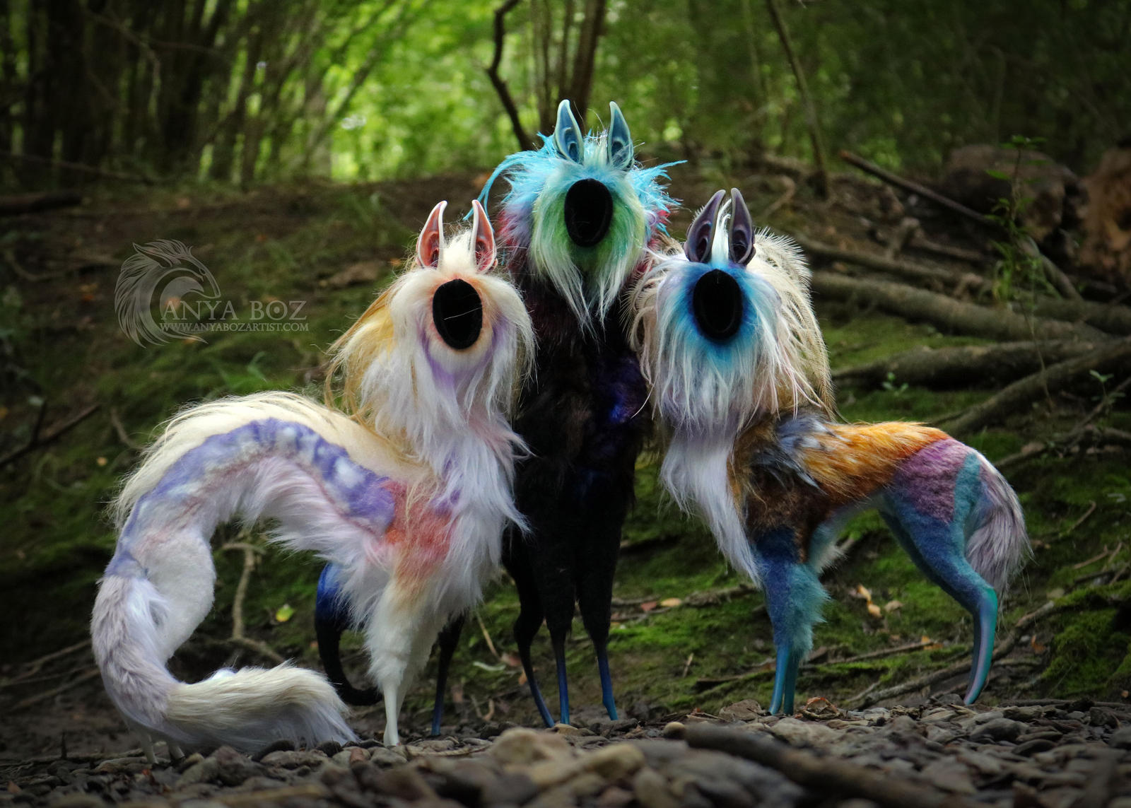 The Voids