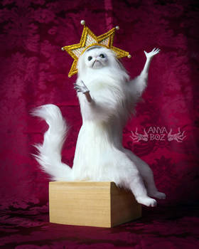 Gold Star Persian Cat Room Guardian