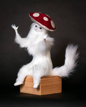 Red Mushroom Persian Cat Room Guardian