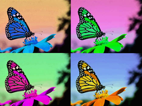 PopArt: Monarch Butterfy