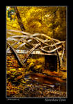 Hareshaw Linn Bridge 2 by newcastlemale