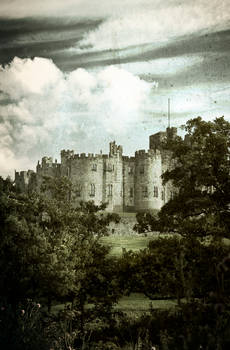 Alnwick Castle Textured