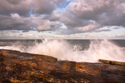 Northumberland Coast 4