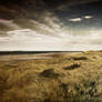 Bamburgh Castle textured