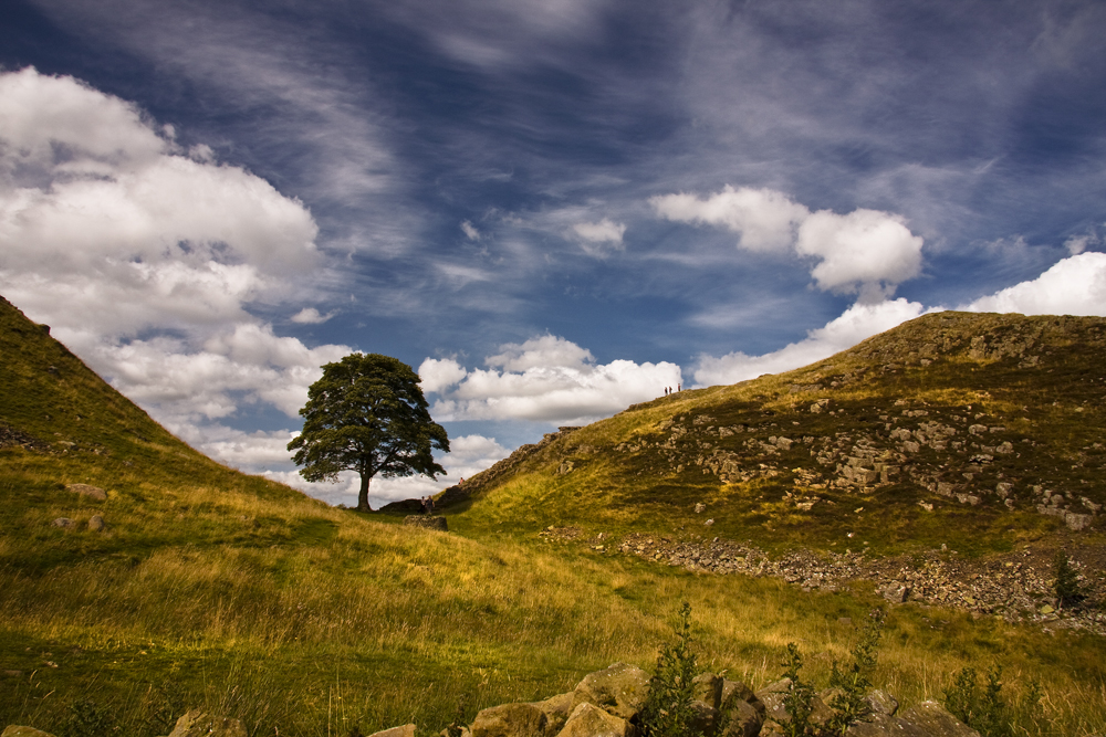 Sycamore Gap 4