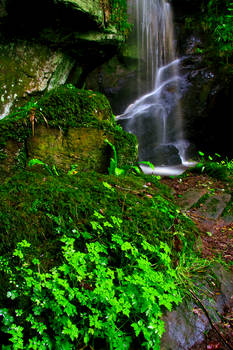 Roughting Linn Waterfall 4