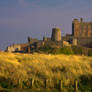 Bamburgh Castle 8