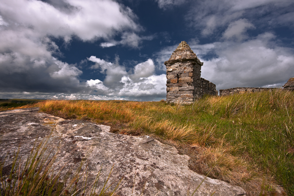 Codgers Fort 2