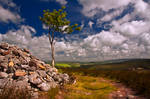 Northumberland Landscape 5 by newcastlemale