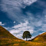 Sycamore Gap