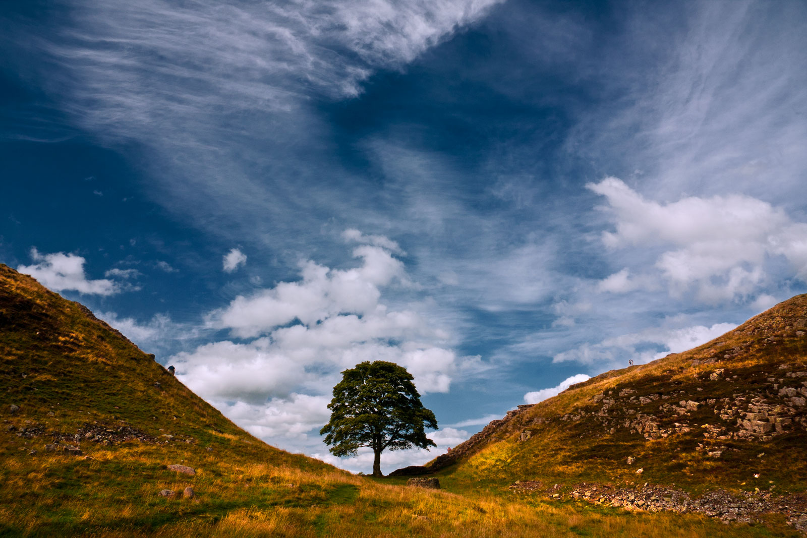 Sycamore Gap